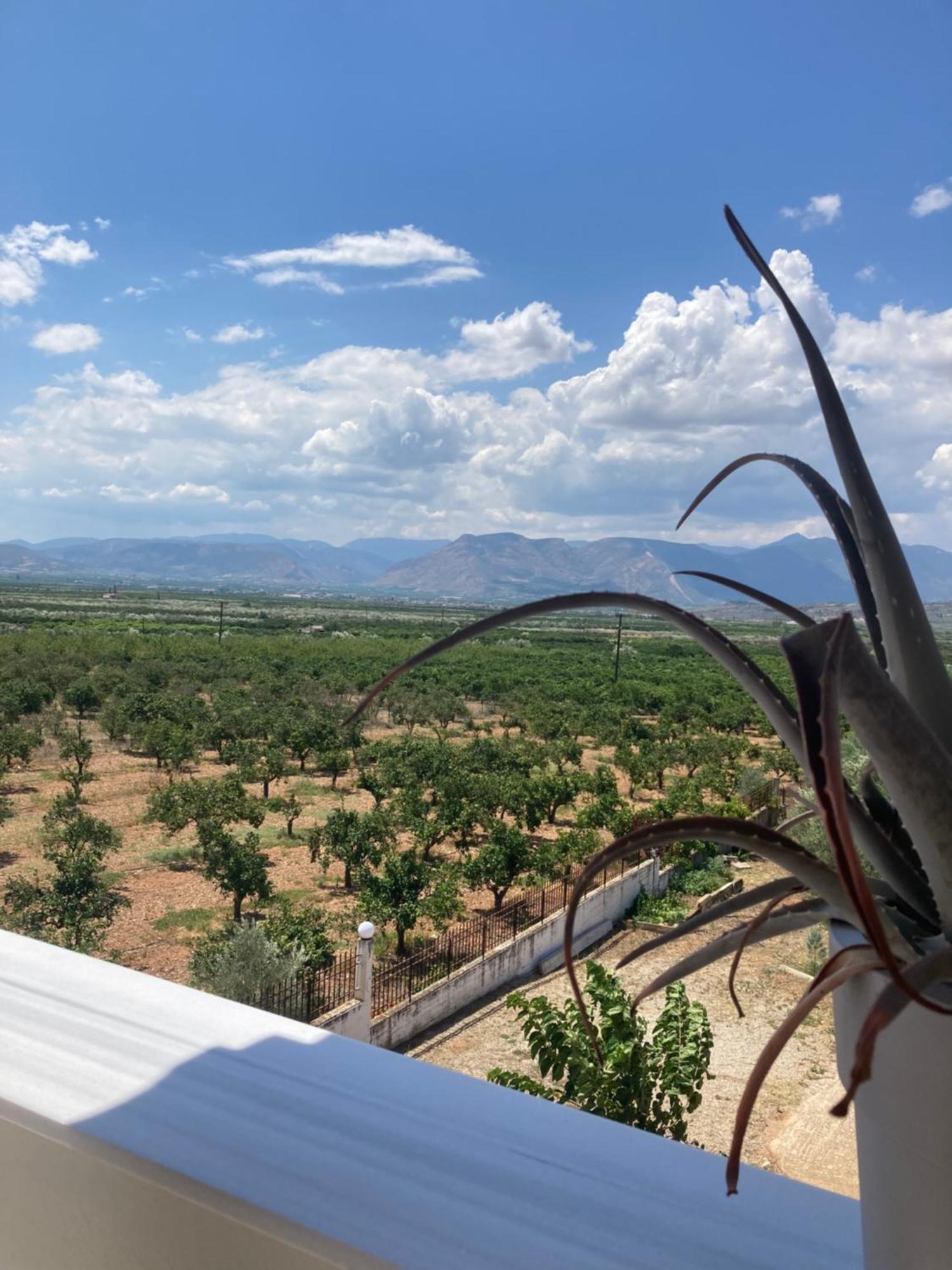 Enchanting Mycenae - Your Greek Holiday Retreat Argos Eksteriør billede
