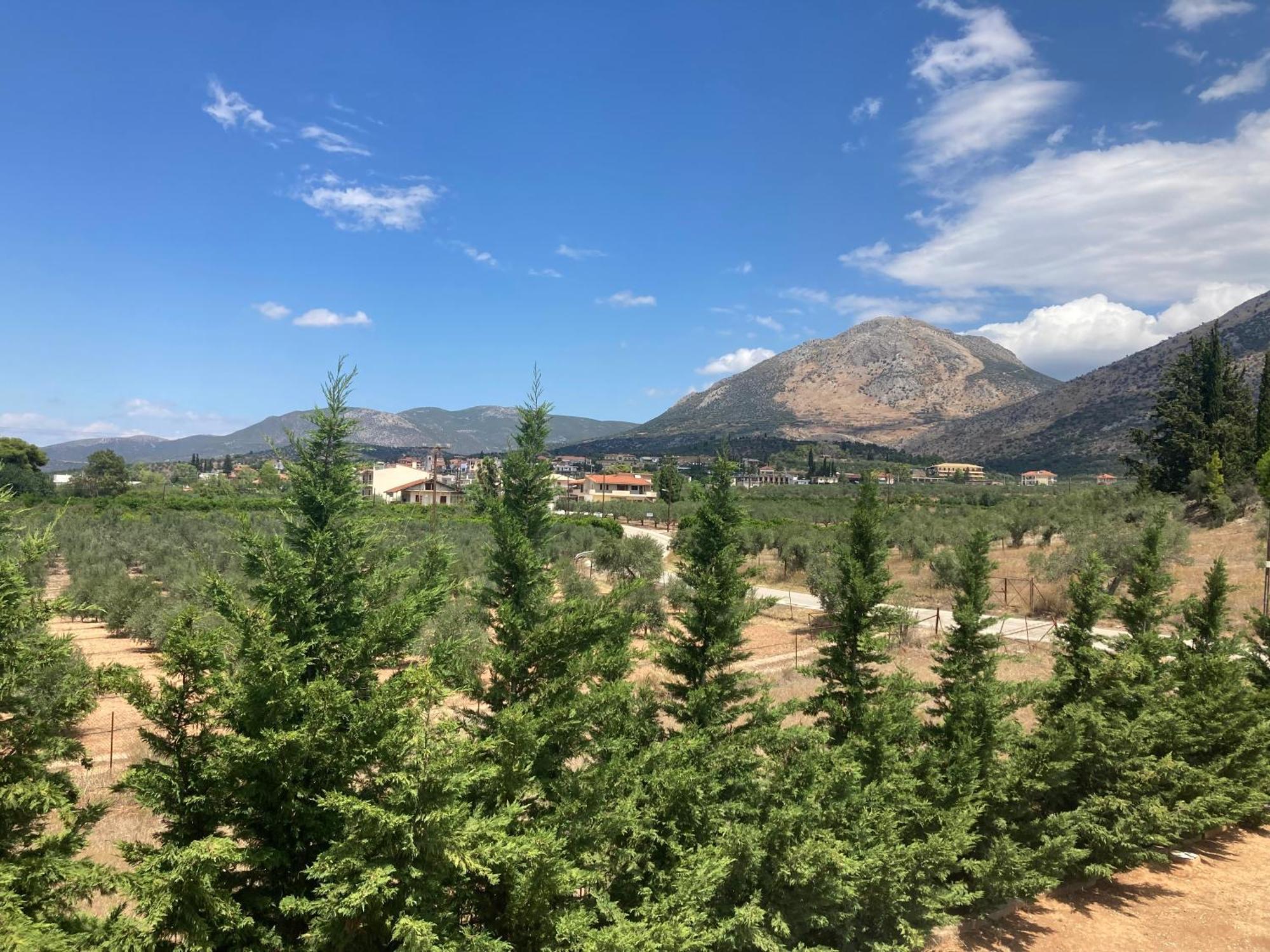 Enchanting Mycenae - Your Greek Holiday Retreat Argos Eksteriør billede